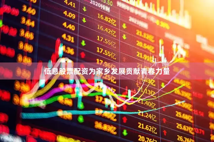 低息股票配资为家乡发展贡献青春力量