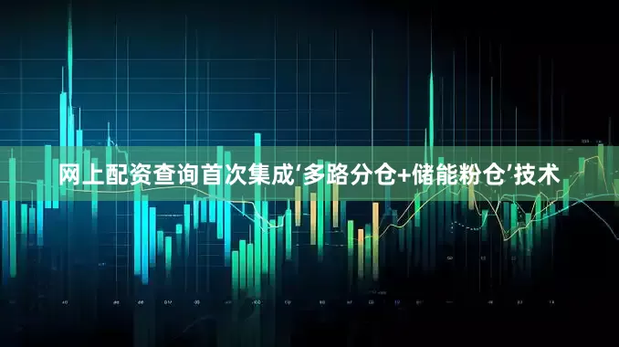 网上配资查询首次集成‘多路分仓+储能粉仓’技术